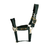 Cavezza in velluto Kentucky verdone full