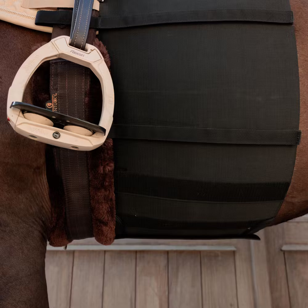 Fascia di rispetto Kentucky Full