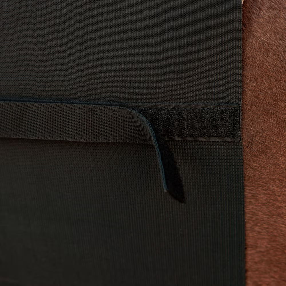 Fascia di rispetto Kentucky Full