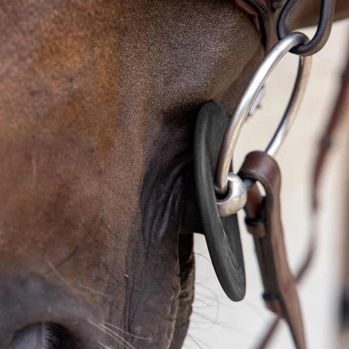 Coppia di rosette in silicone Kentucky