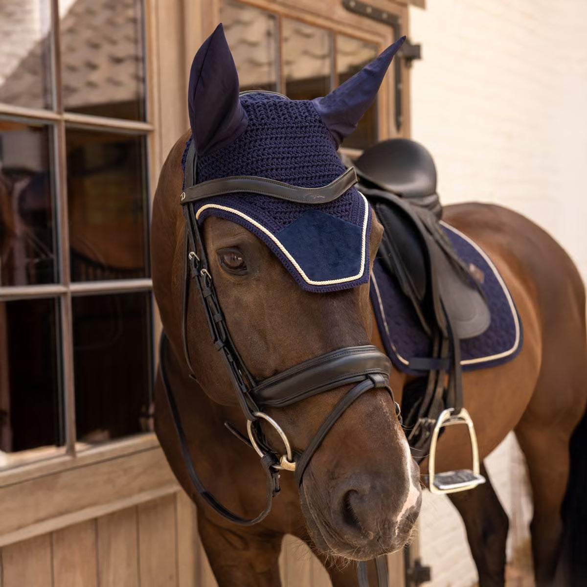 Cuffia Wellington Velvet Kentucky