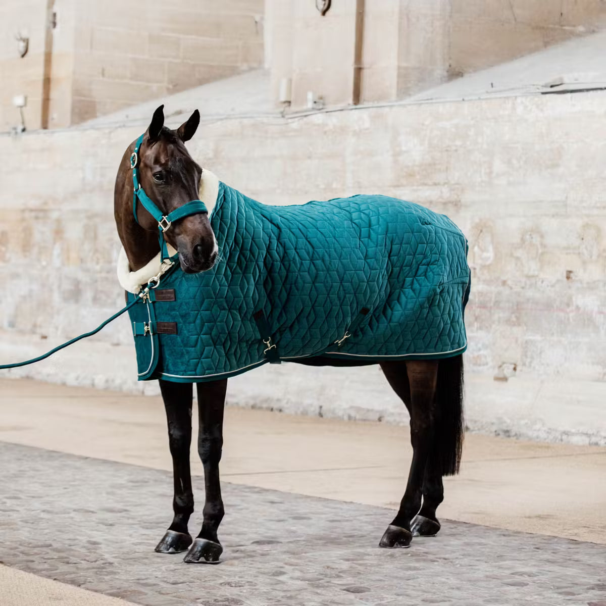 Coperta da box velvet emerald Kentucky