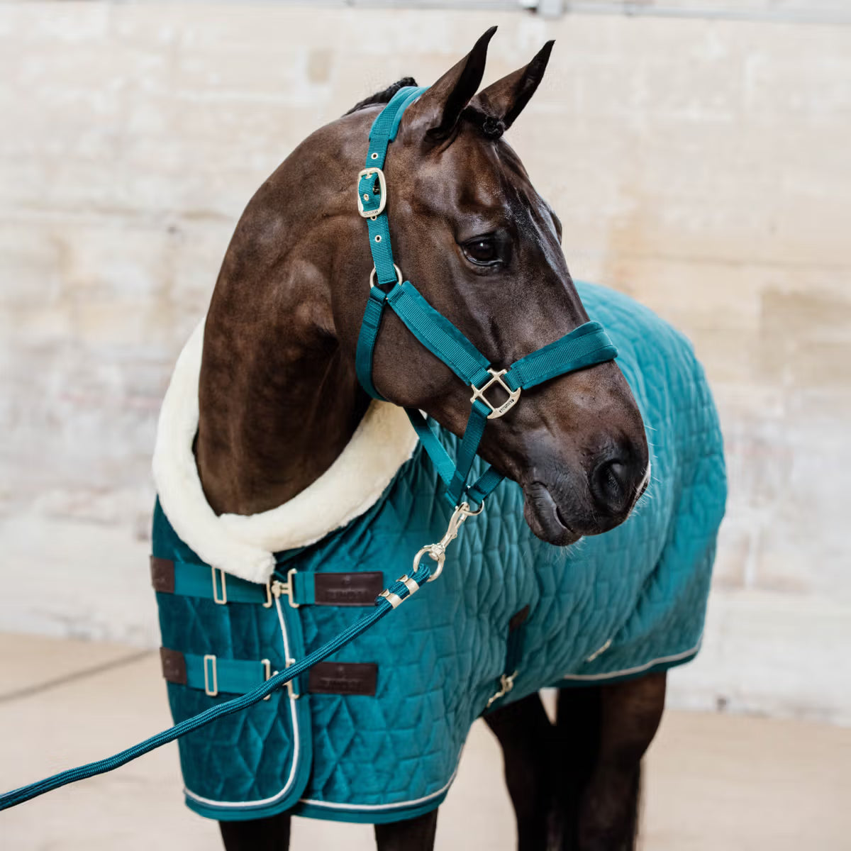 Coperta da box velvet emerald Kentucky