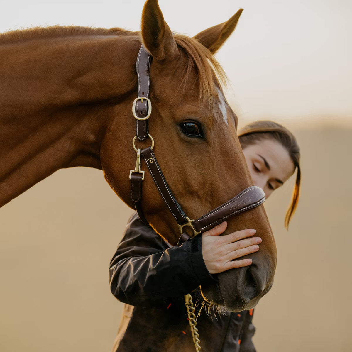 Cavezza in cuoio Dy'On marrone