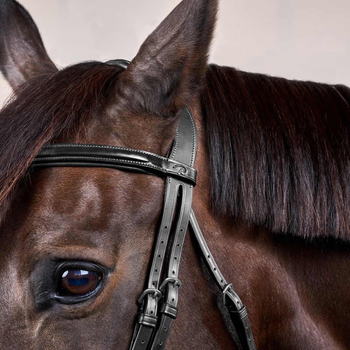 Testiera Flash Dy'On nero