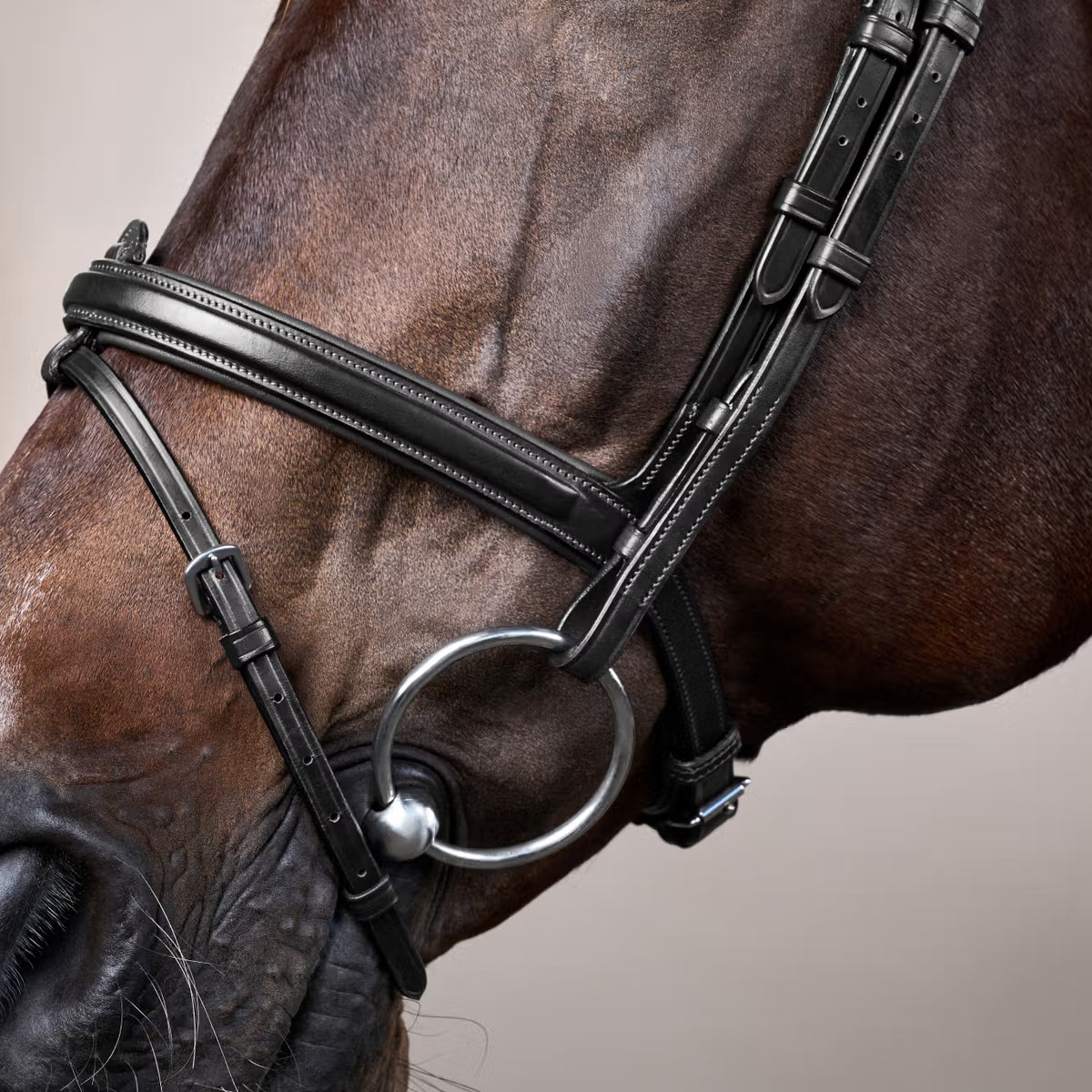 Testiera Flash Dy'On nero