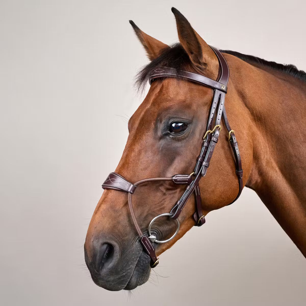 Testiera Elastic Hybrid Dy'On marrone