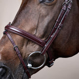 Testiera Flash Dy'On marrone