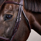 Testiera Flash Dy'On marrone