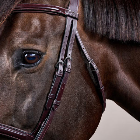 Testiera Flash Dy'On marrone