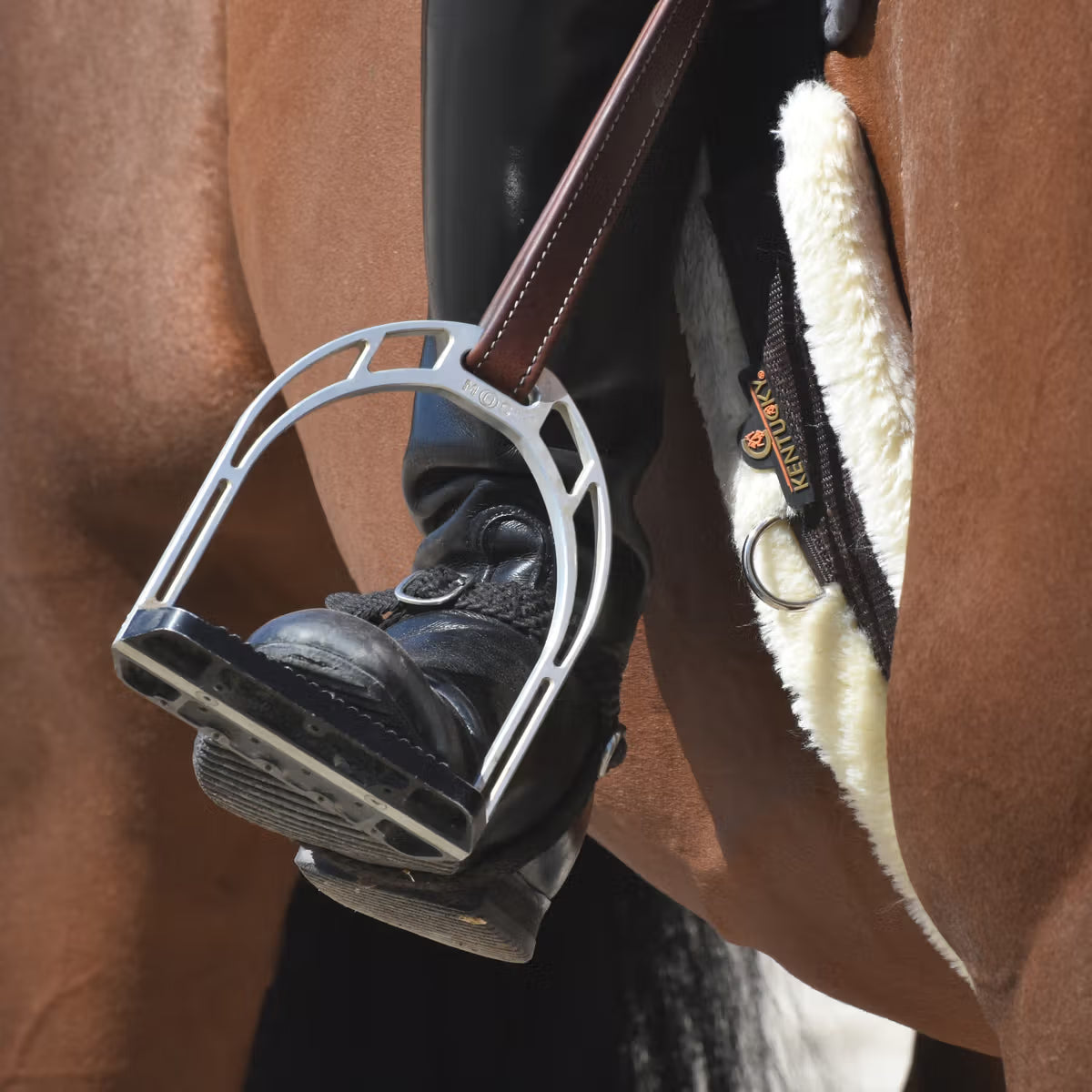 Sottopancia in nylon con finto montone Kentucky