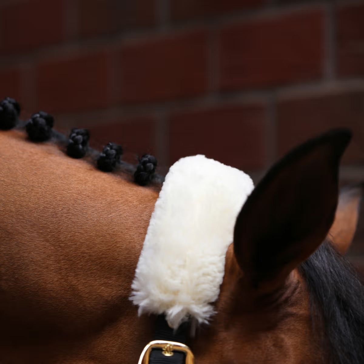 Capezza Sheepskin Shipping Kentucky