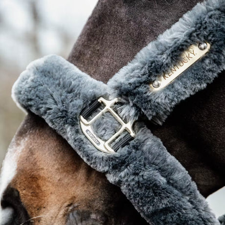 Capezza Sheepskin Shipping Kentucky grigio