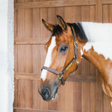 Capezza in cuoio Wellington Kentucky