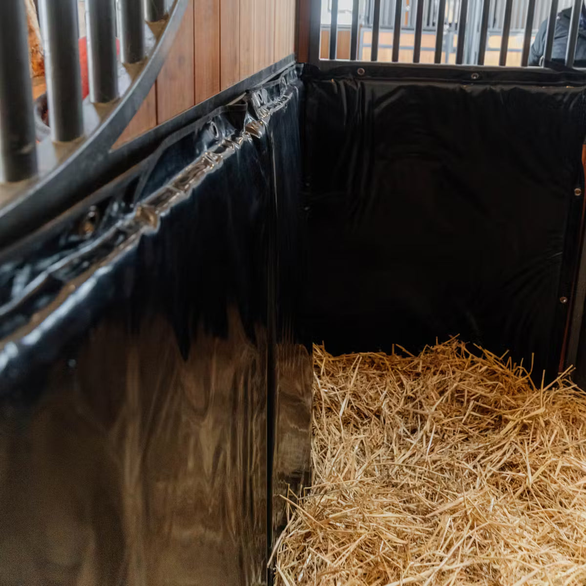 Paracolpi da box / trailer Kentucky