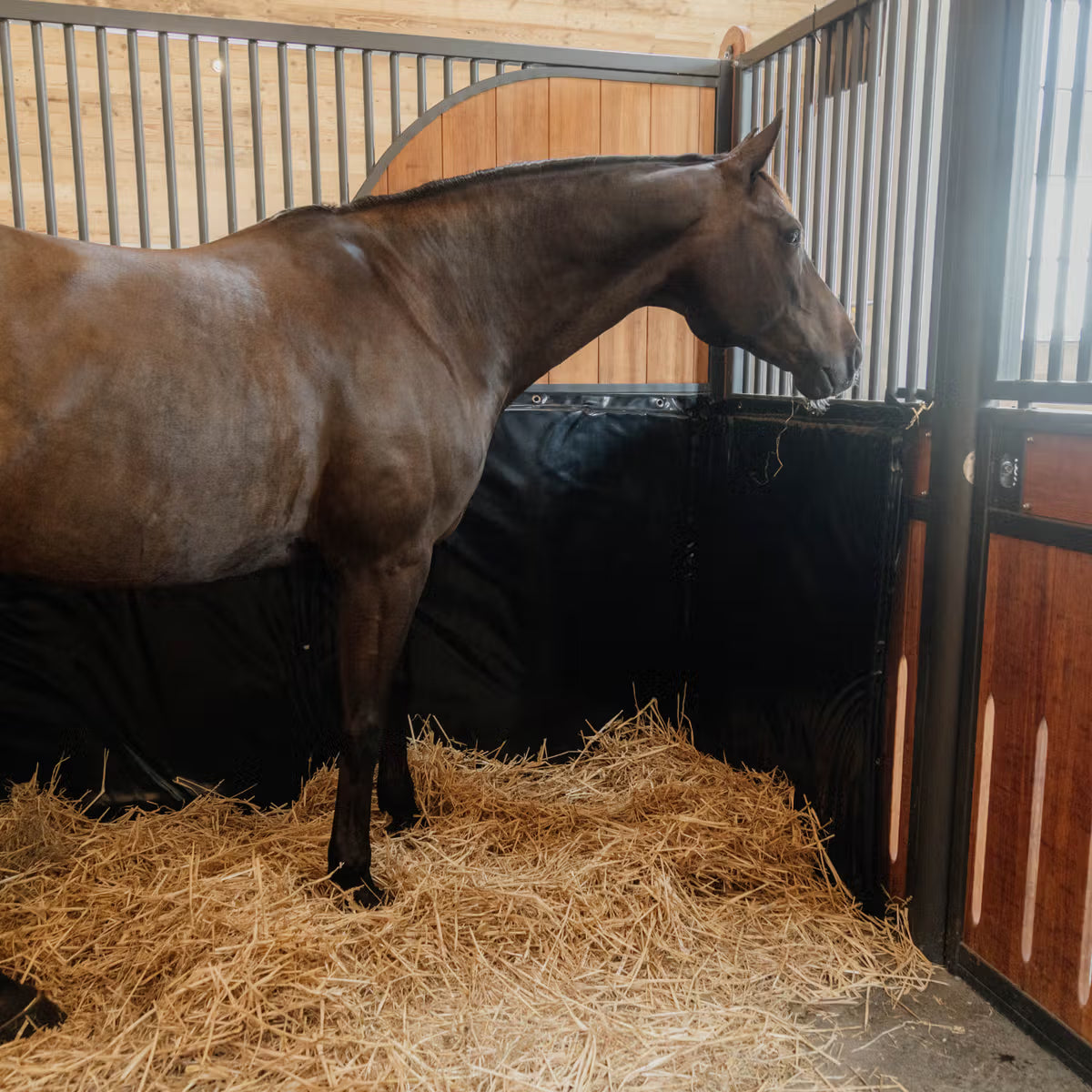 Paracolpi da box / trailer Kentucky