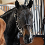 Capezza anatomica in cuoio Kentucky