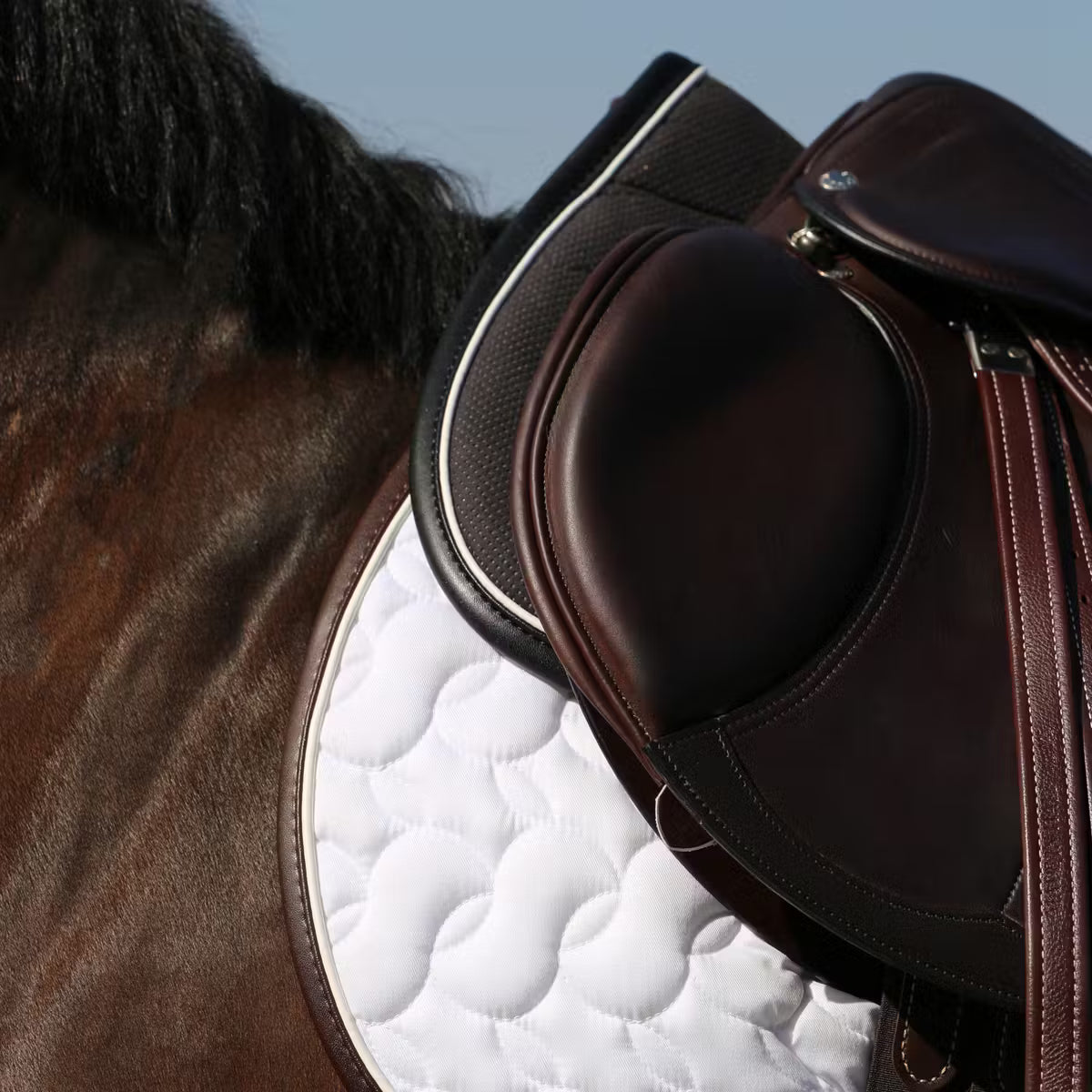 Cuscino Anatomic Absorb Kentucky