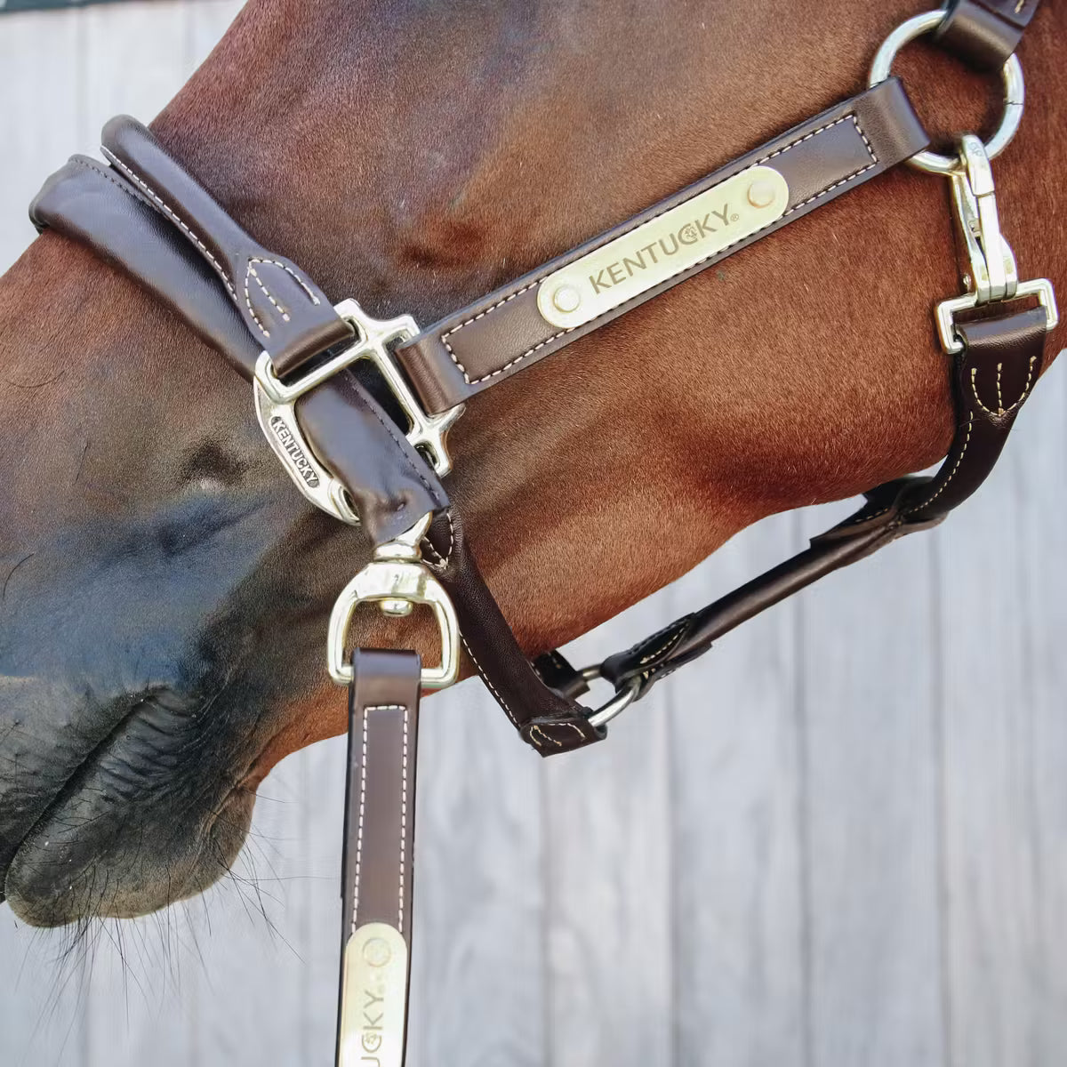 Lunghina con catena rivestita in cuoio Kentucky
