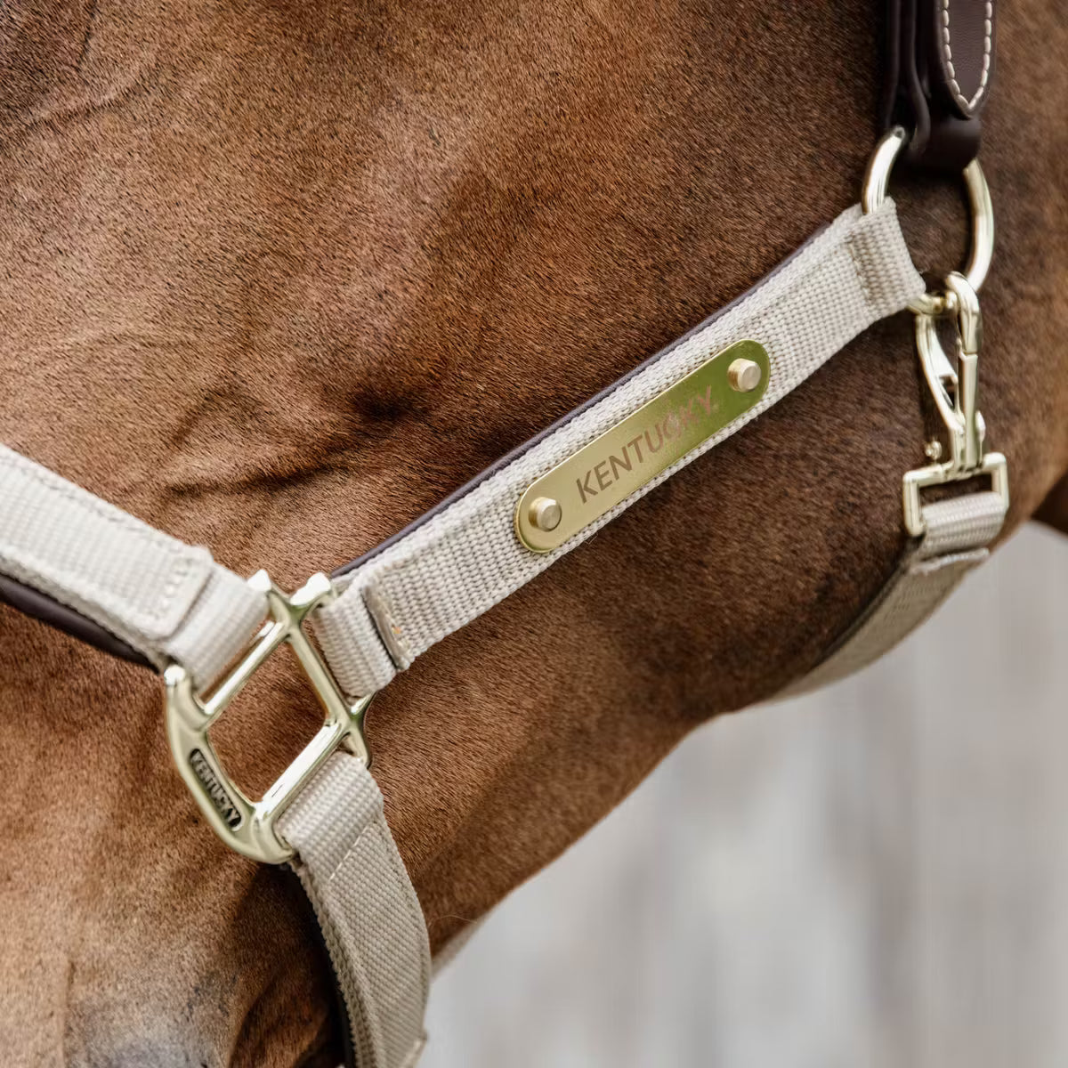 Capezza Nylon Anatomic Kentucky
