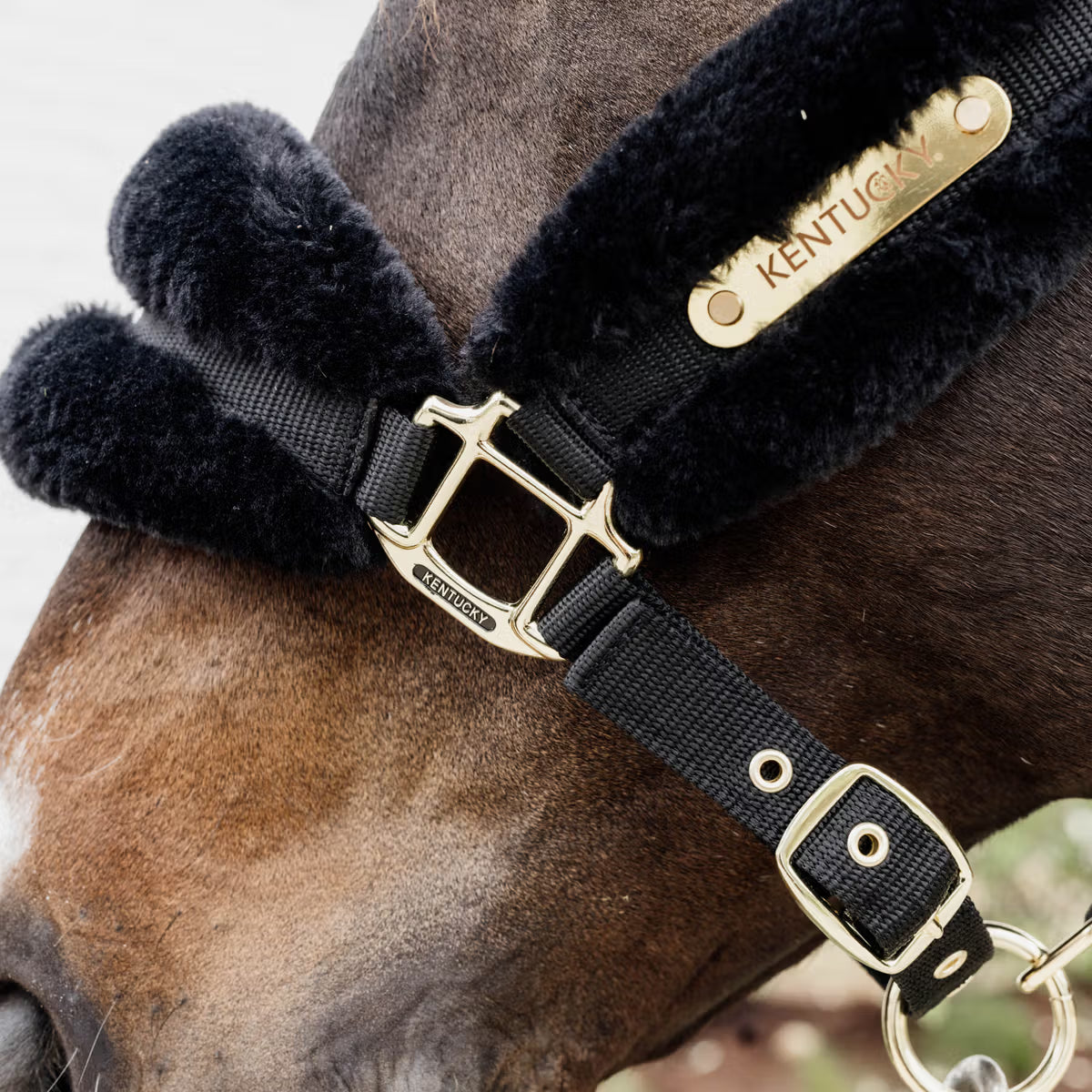 Capezza morbida in nylon e pelliccia Kentucky