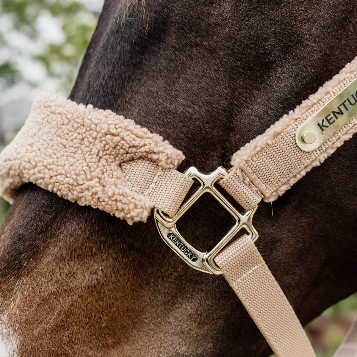 Capezza Teddy Kentucky beige