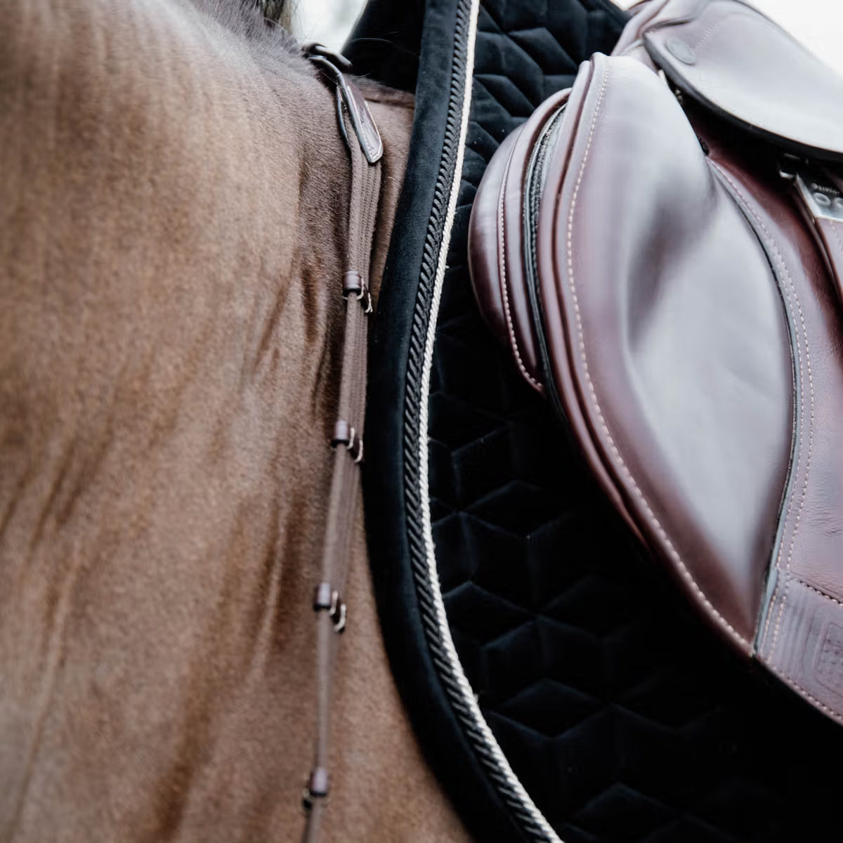 Sottosella Jumping Basic Velvet Kentucky