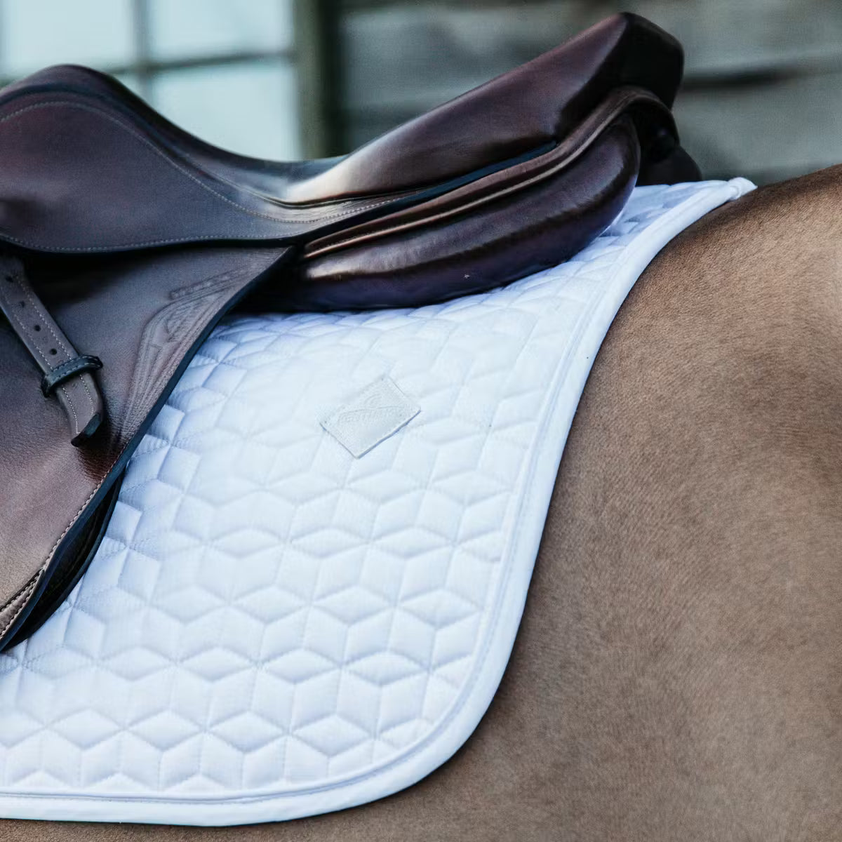 Sottosella Jumping Classic Kentucky