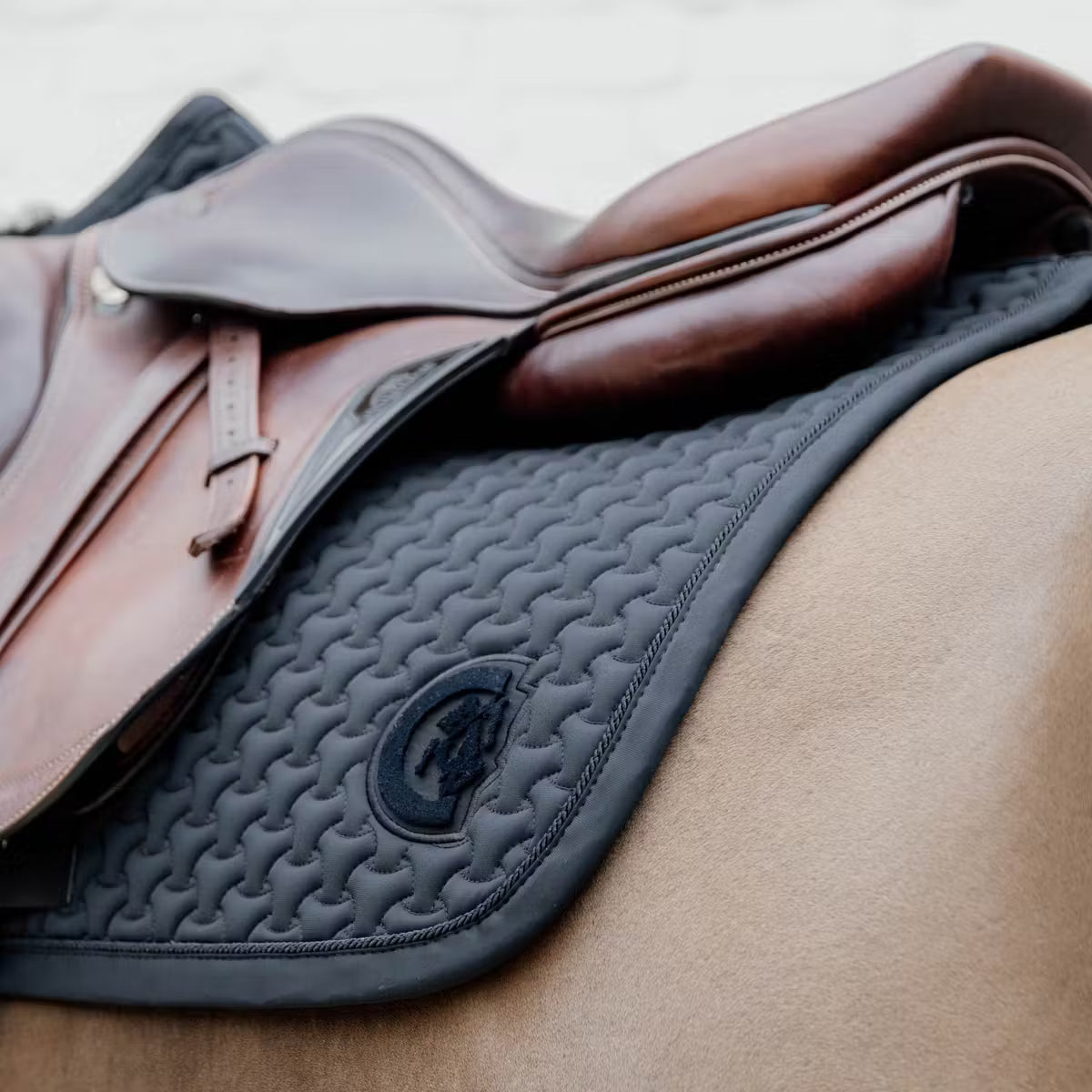 Sottosella Jumping Plaited 3D Logo Kentucky