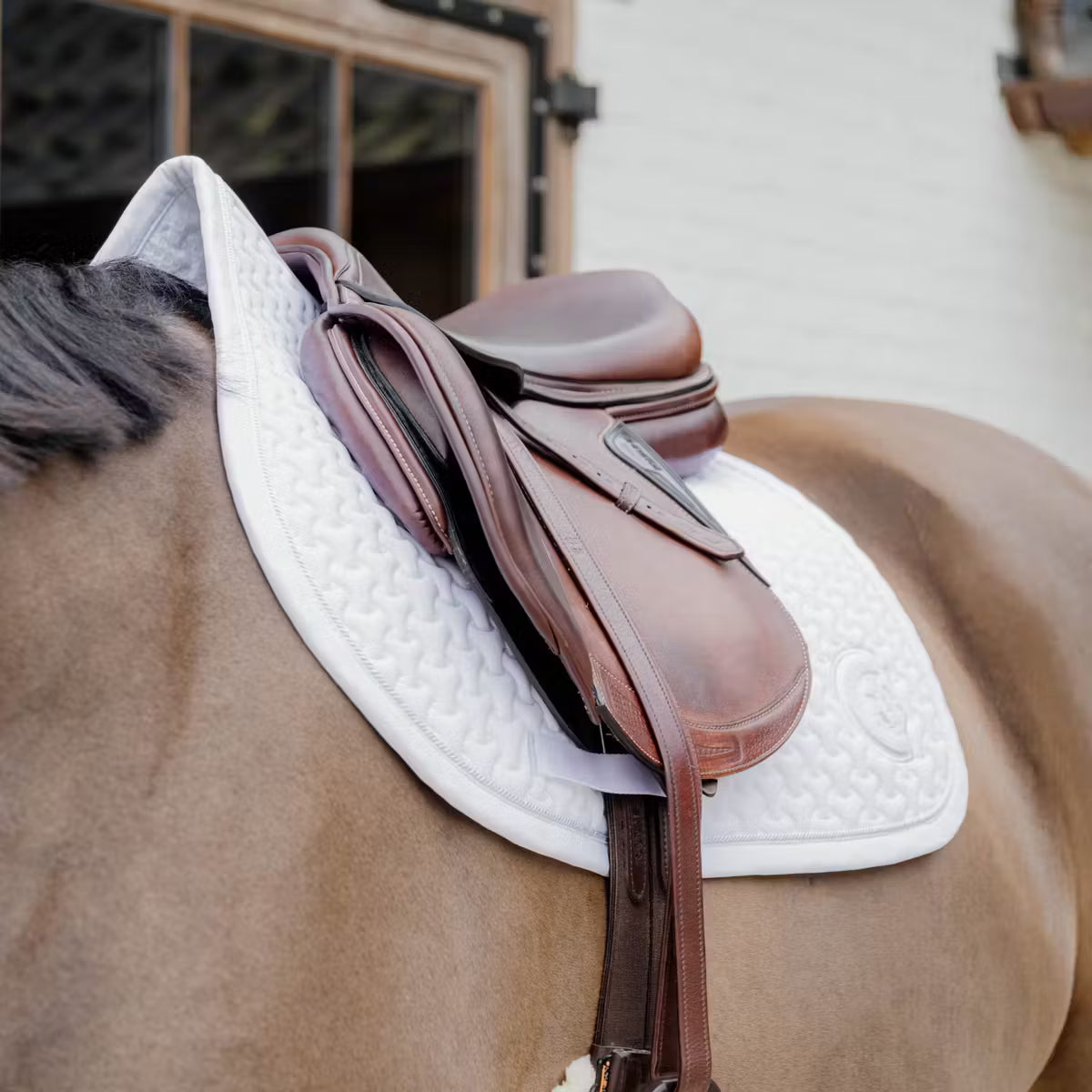 Sottosella Jumping Plaited 3D Logo Kentucky
