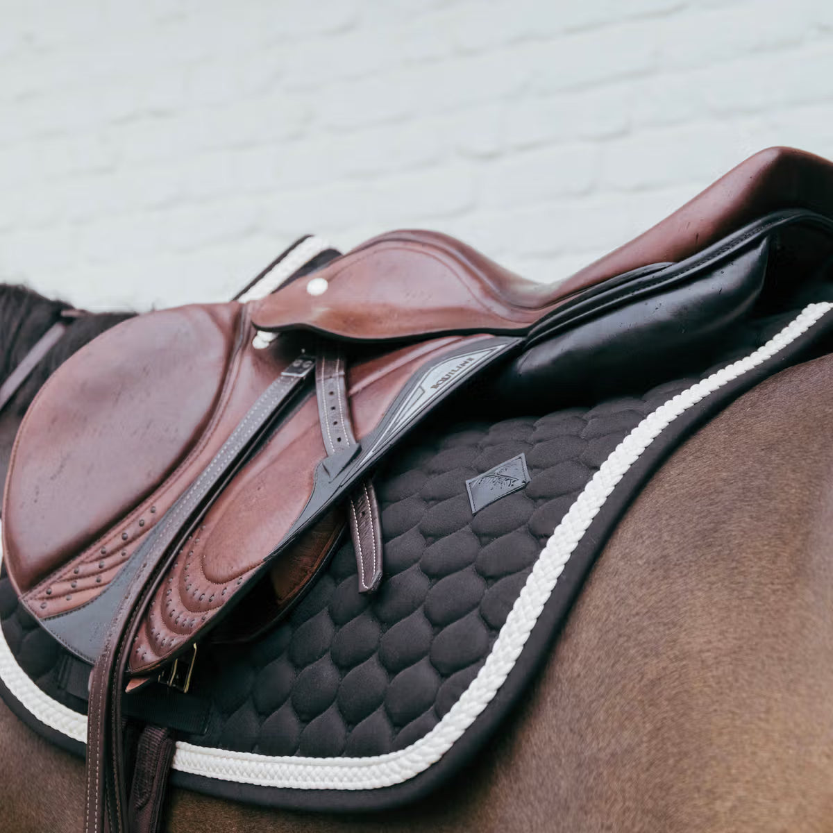 Sottosella Jumping Plaited Cord Jumping Kentucky