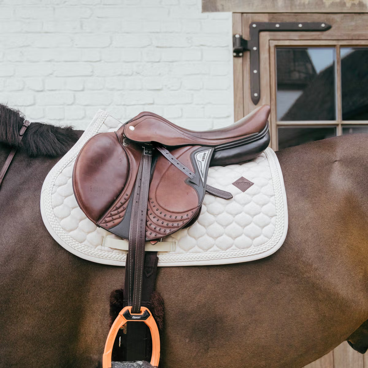 Sottosella Jumping Plaited Cord Jumping Kentucky