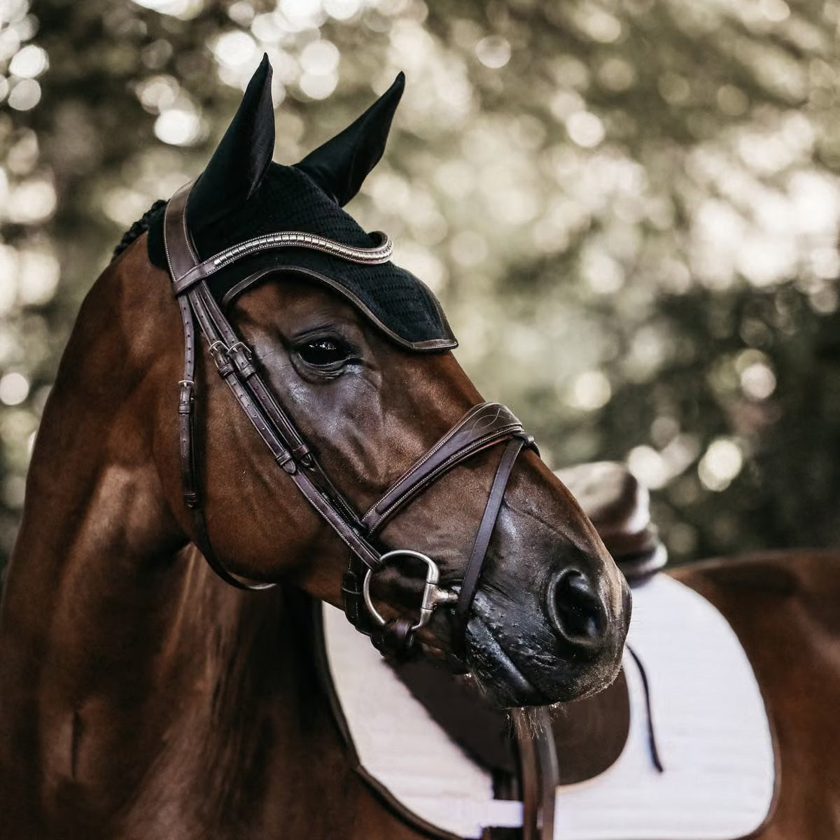 Cuffia Wellington Leather Kentucky