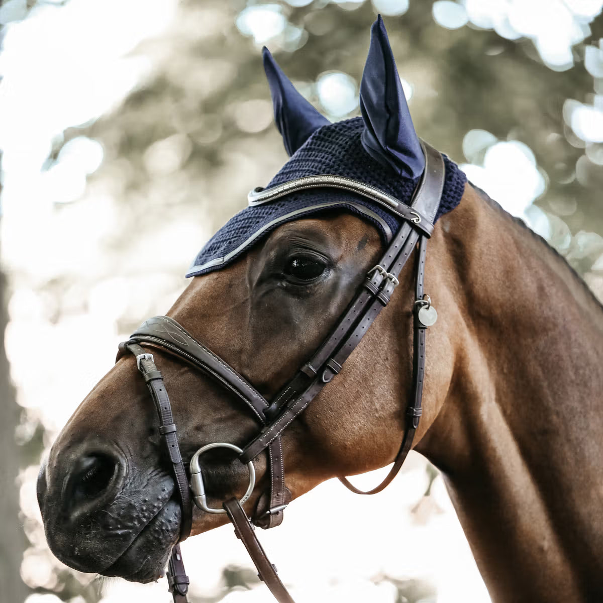 Cuffia Wellington Leather Kentucky