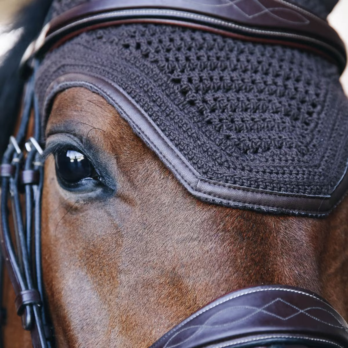 Cuffia Wellington Leather Kentucky