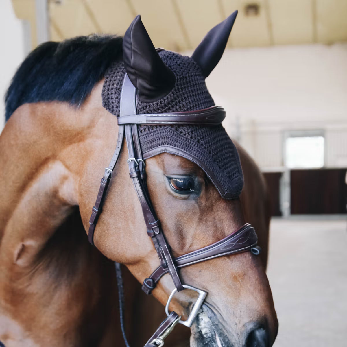 Cuffia Wellington Leather Kentucky