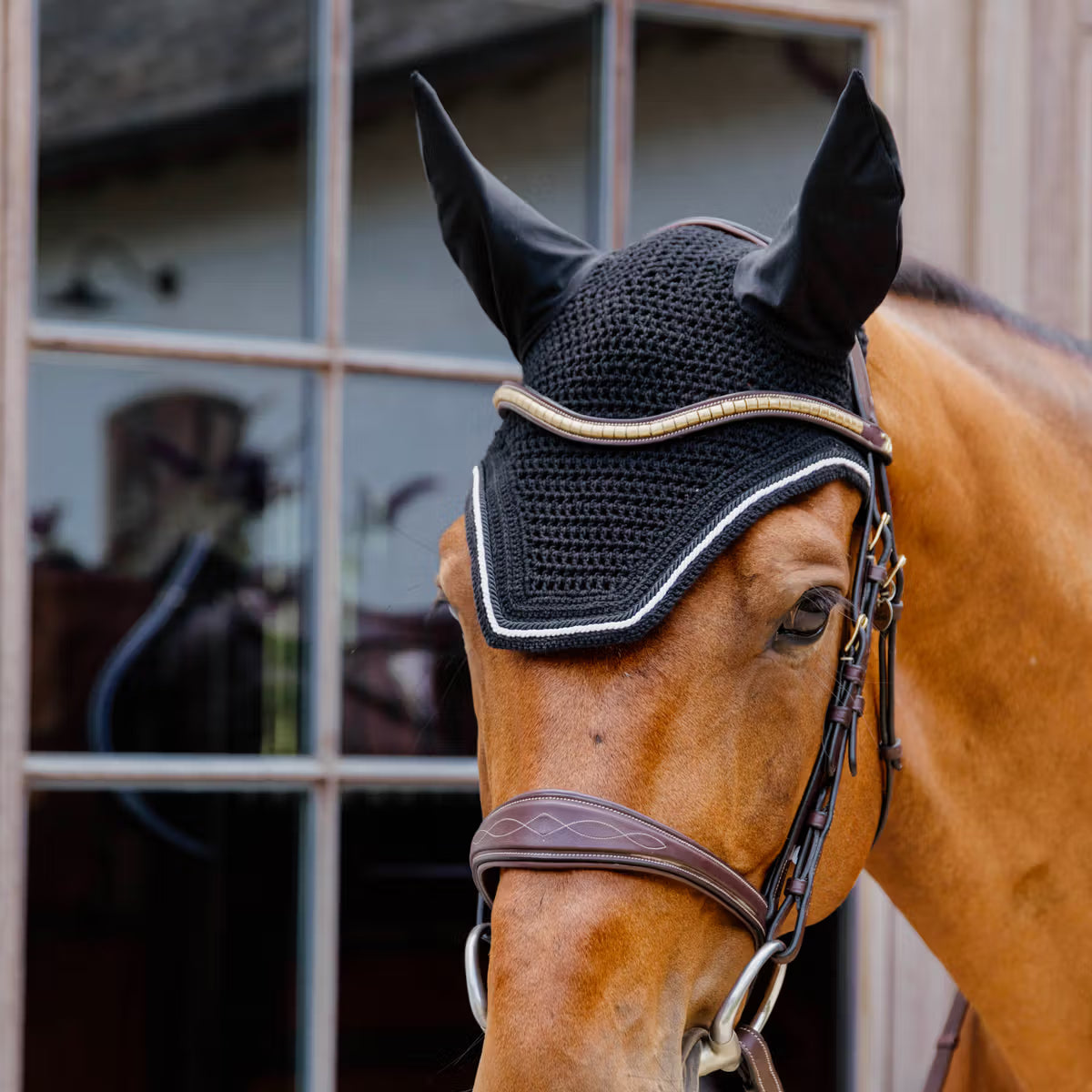 Cuffia Wellington Diamond Rope Kentucky