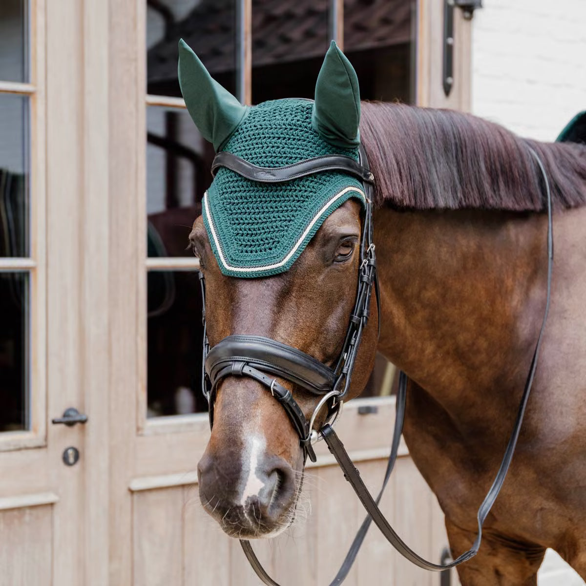 Cuffia Wellington Diamond Rope Kentucky