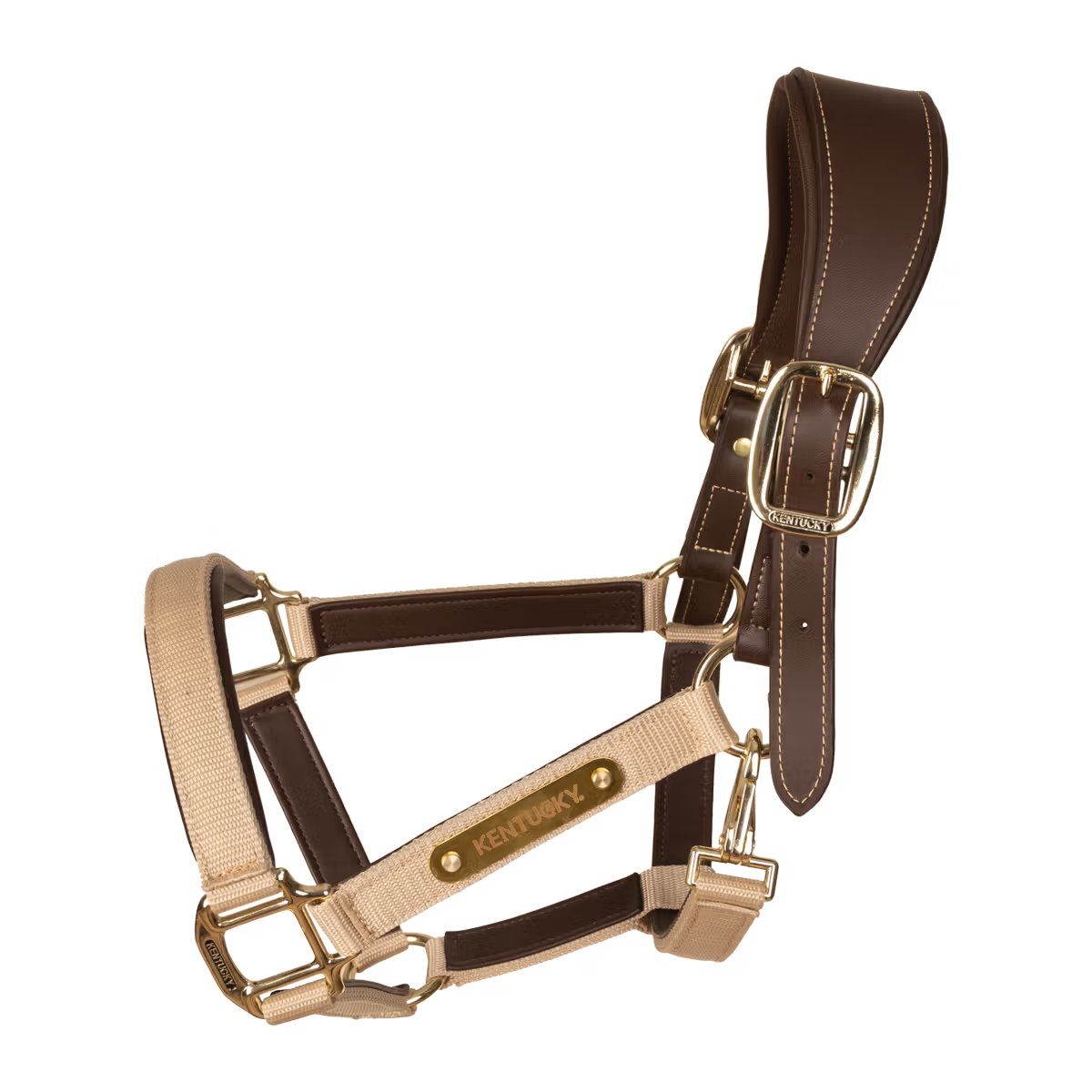 Capezza Nylon Anatomic Kentucky