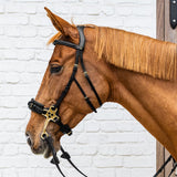 Hackamore Dy'On nero Full