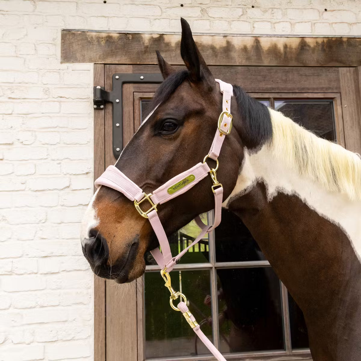 Capezza in velluto rosa cipria Kentucky