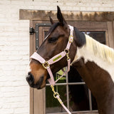 Capezza in velluto rosa cipria Kentucky