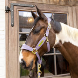 Capezza in velluto viola Kentucky