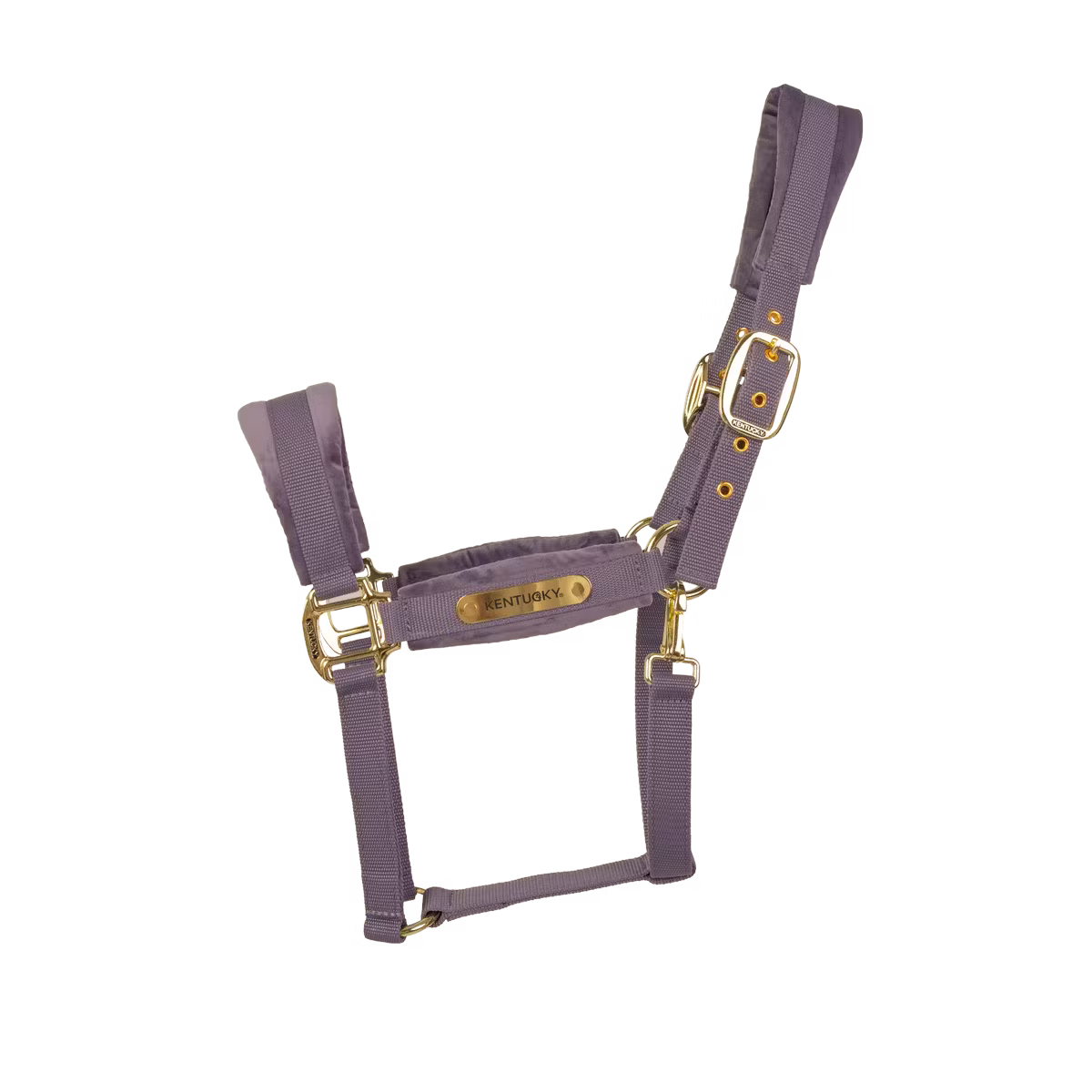 Capezza in velluto viola Kentucky