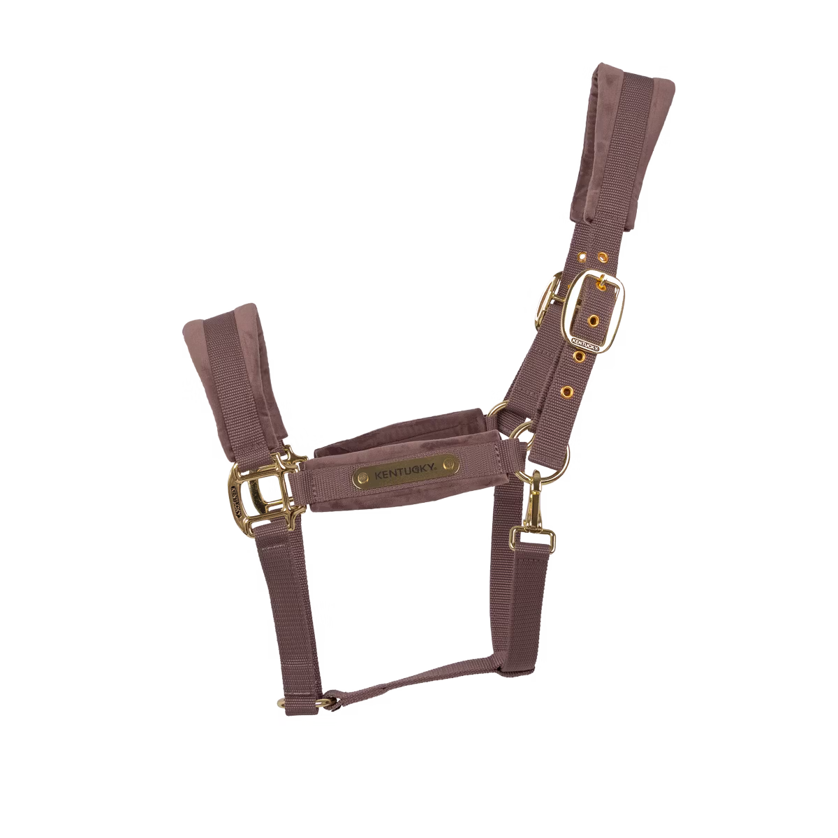 Capezza in velluto light purple Kentucky