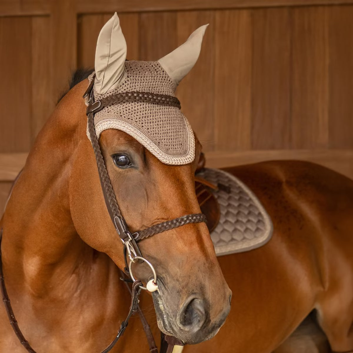 Cuffia Wellington Soundless Plaited Glitter Rope Kentucky