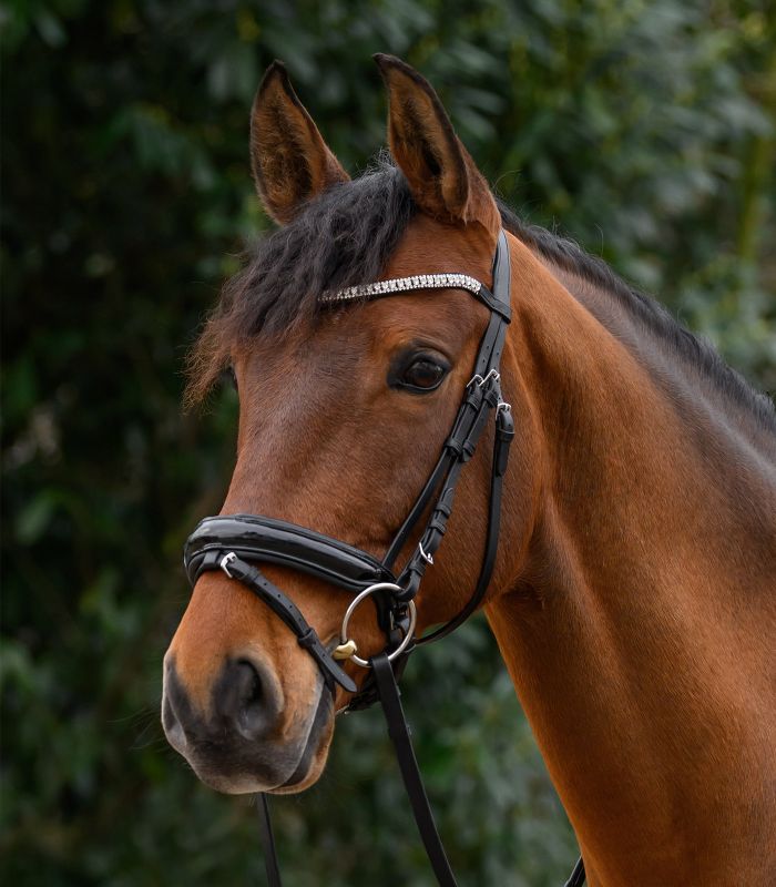 Frontalino STAR glitter Waldhausen