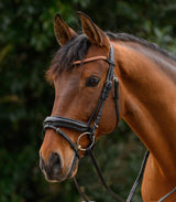 Frontalino STAR glitter Waldhausen