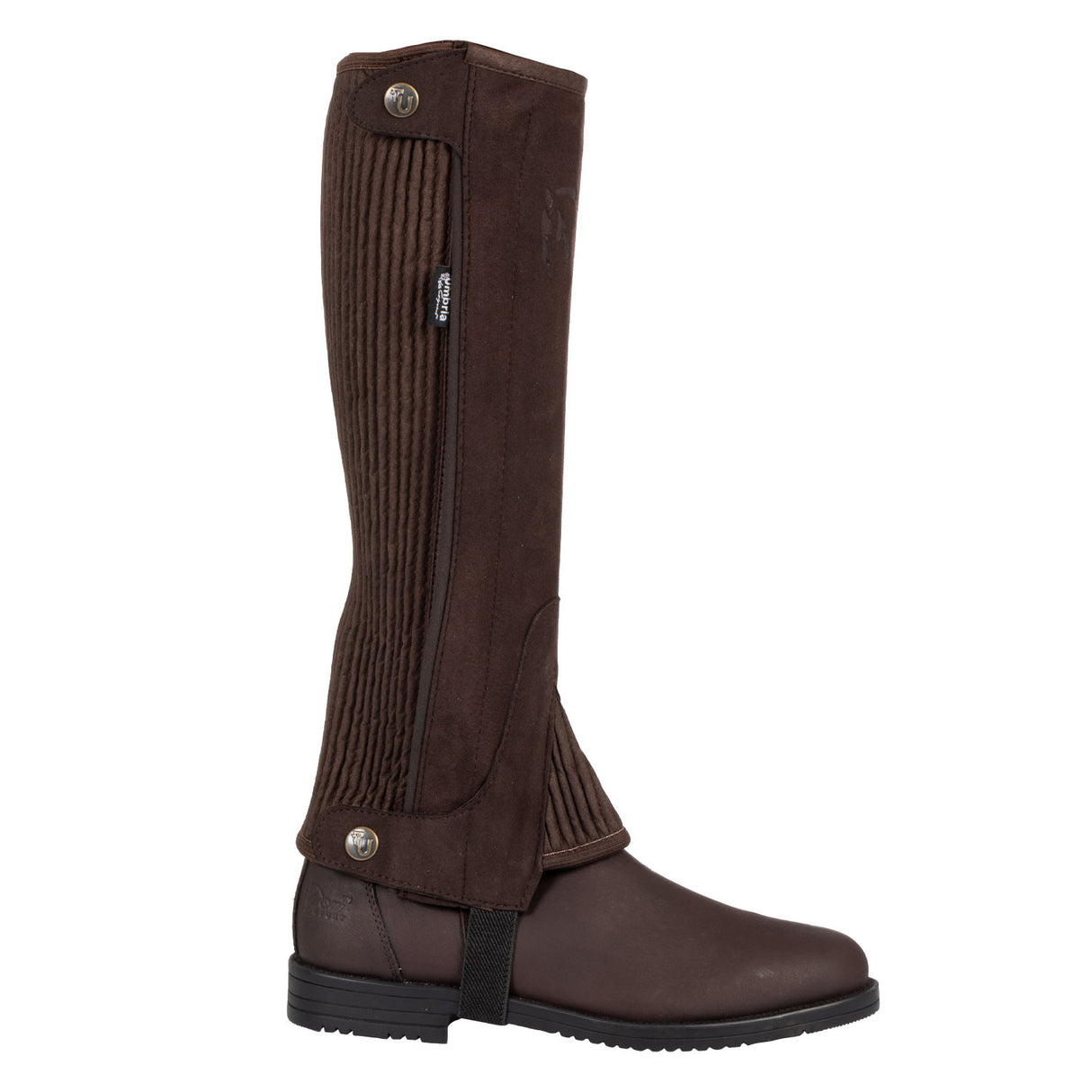 Ghette Umbria scamosciate