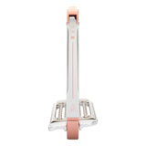 Staffe arena aluplus 2.0 swarovski Acavallo